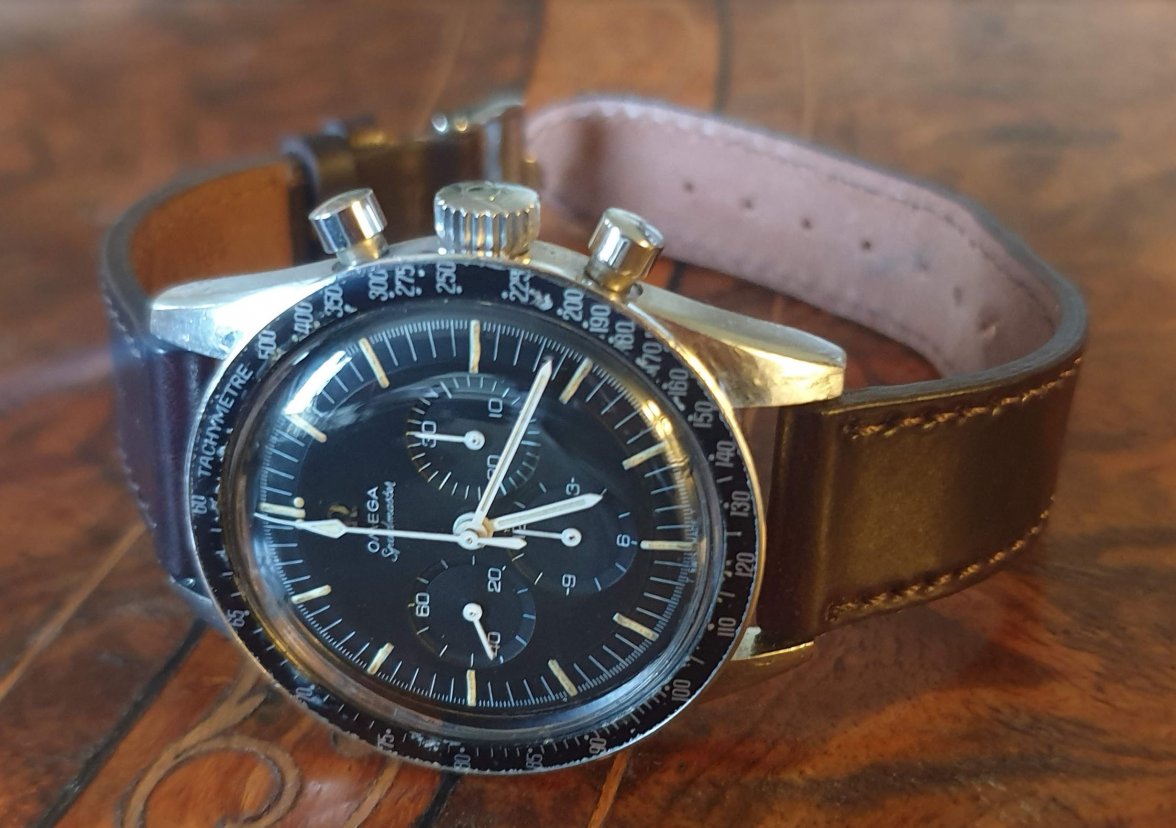 speedie2.JPG speedie2.JPG