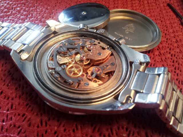 Mar del PLata 174.jpg