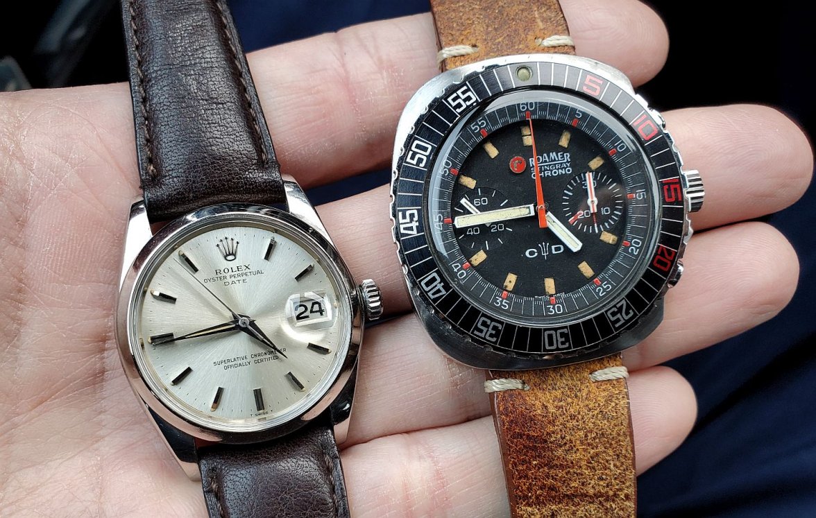 Roamer ws 2 20210324_164355.jpg