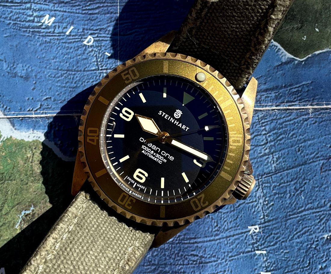 SteinhartOceanOneBronze-4 copy.JPG
