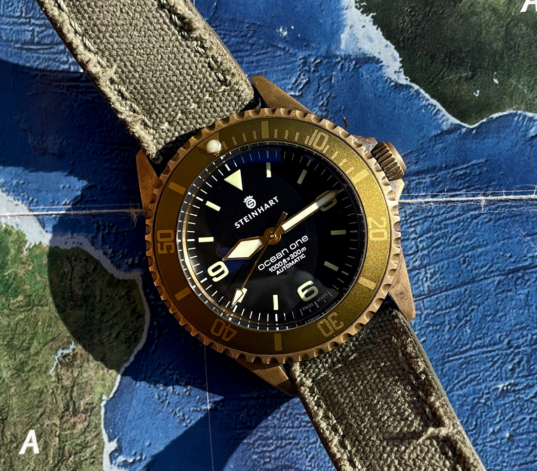 SteinhartOceanOneBronze-6 copy.JPG