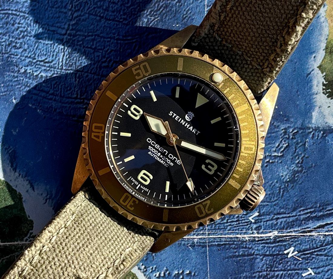 SteinhartOceanOneBronze-7 copy.JPG