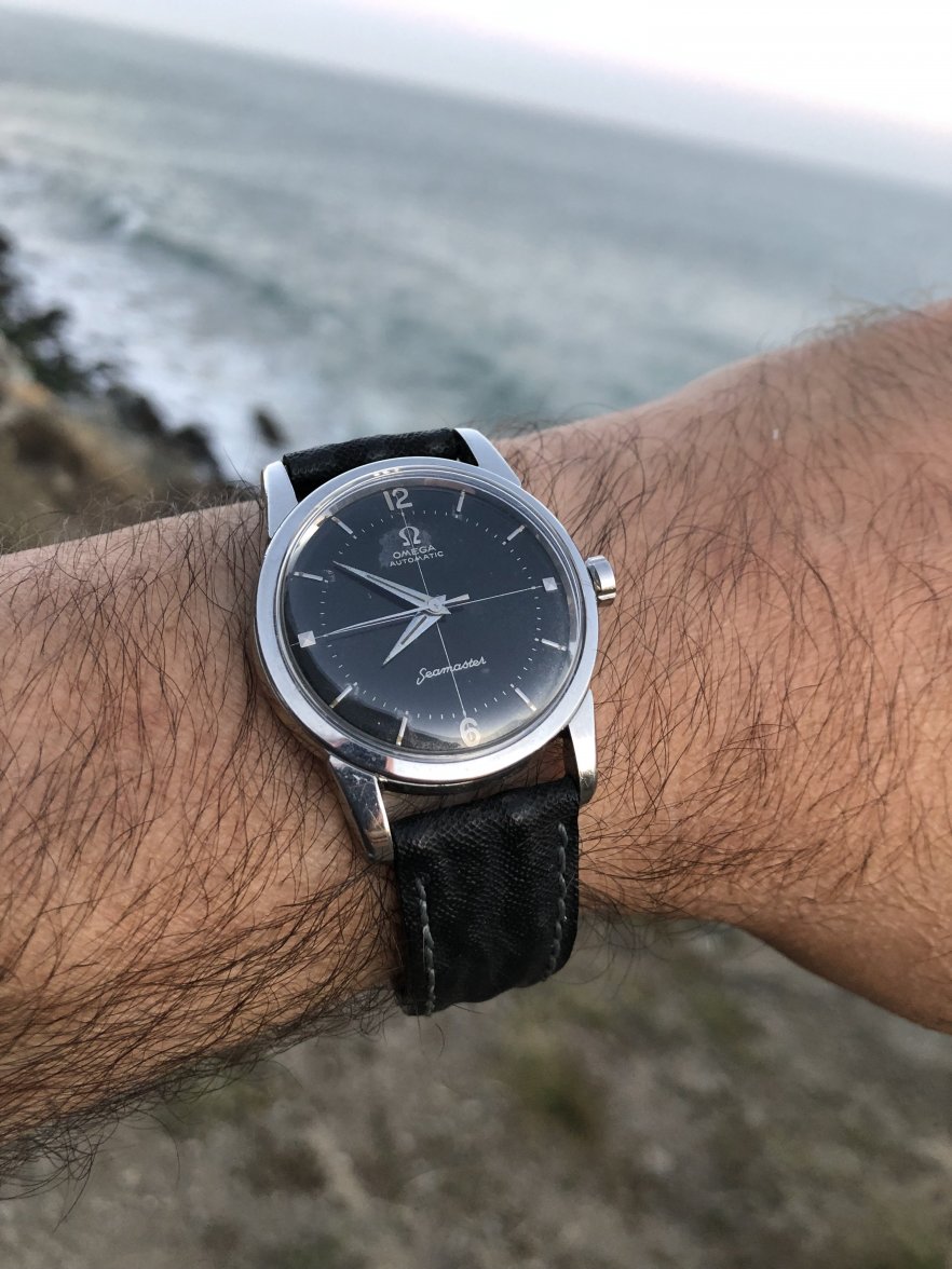 CD189F1C-5409-4E67-8C28-1033D3AE2E29.jpeg CD189F1C-5409-4E67-8C28-1033D3AE2E29.jpeg