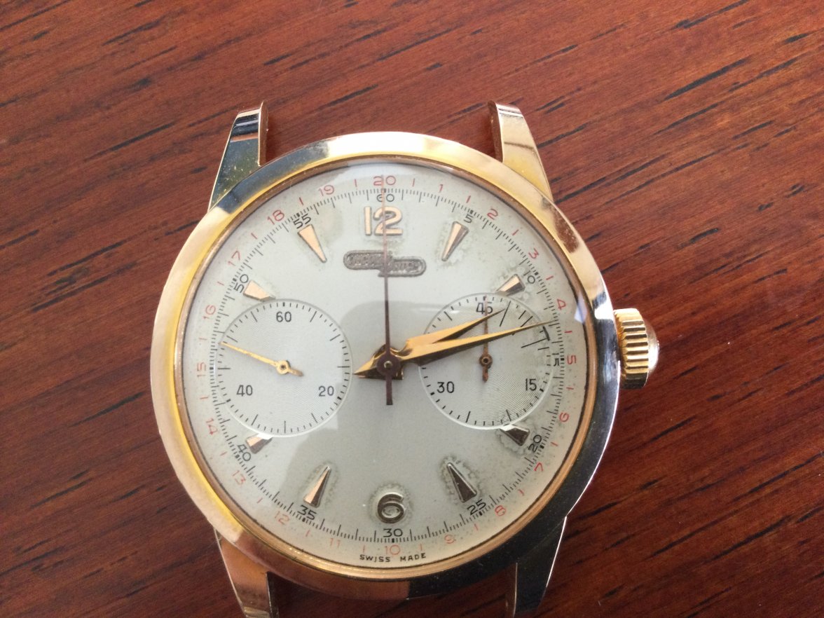 E218C8B3-C5CC-4DB5-A026-D55DE92C89B4.jpeg E218C8B3-C5CC-4DB5-A026-D55DE92C89B4.jpeg