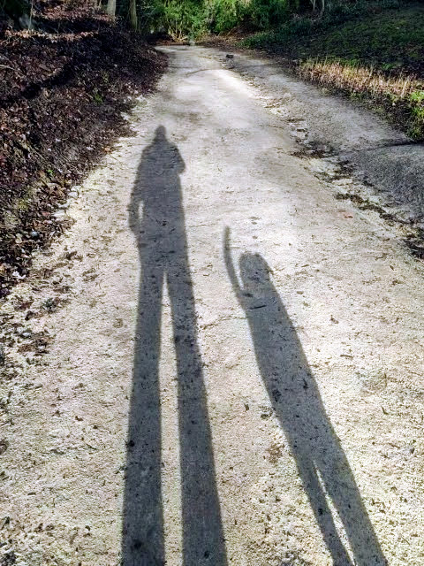 IMG_20210113_112323_exported_1432_1610538319503.jpg