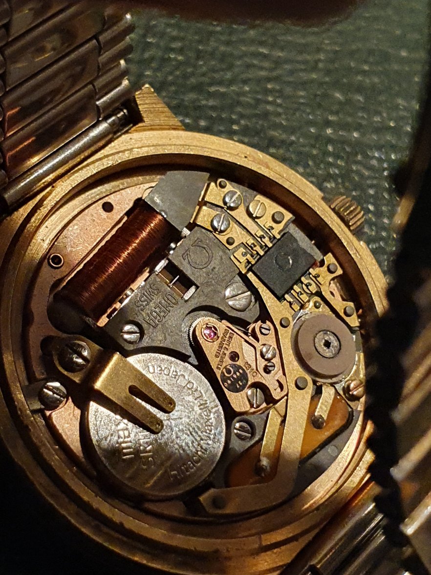 20210329_210452.jpg