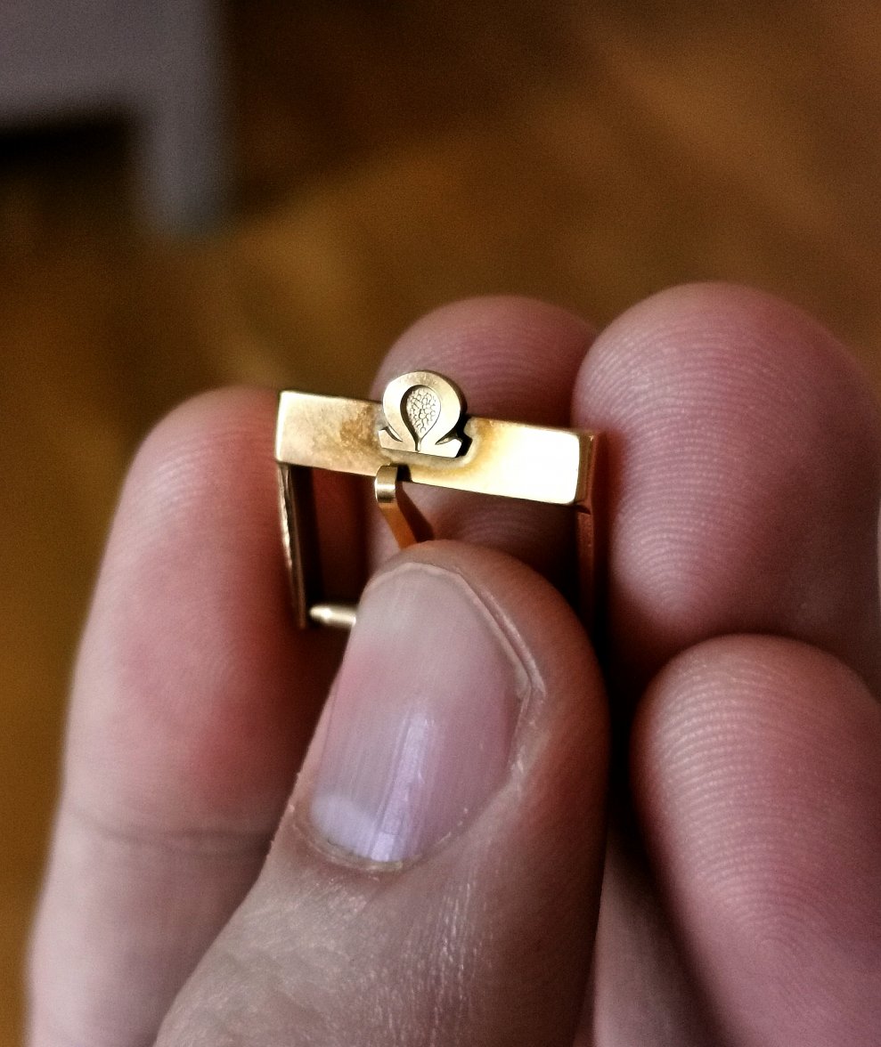 IMG_20210330_131916.jpg IMG_20210330_131916.jpg