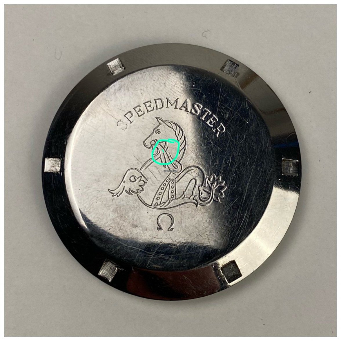 WhatsApp Image 2021-03-31 at 21.40.10.jpeg