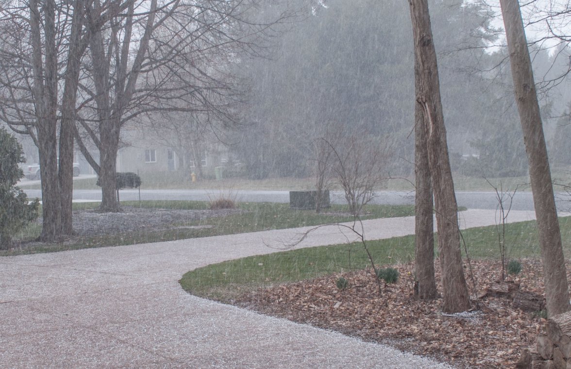 April snow.jpg
