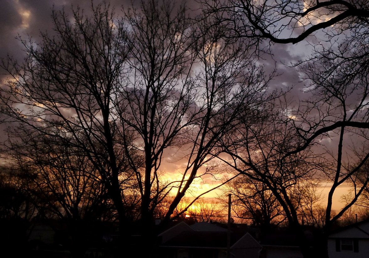 FOCC ws 1 sunrise 20210403_064954.jpg