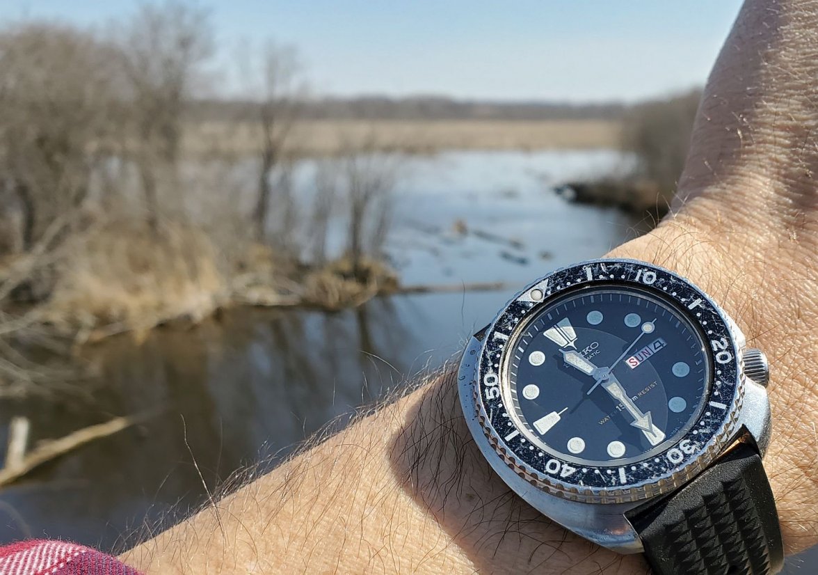 6309 ws 2 bog 20210404_113018.jpg