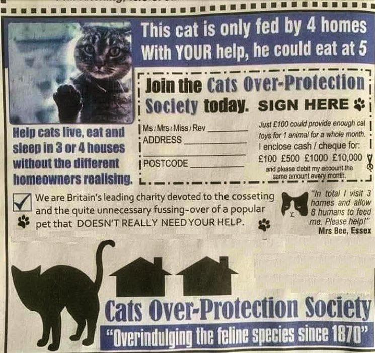 Cats over protection - Copy.jpg