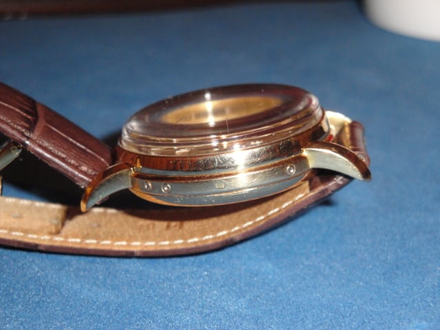 DSC02066 - side view.JPG