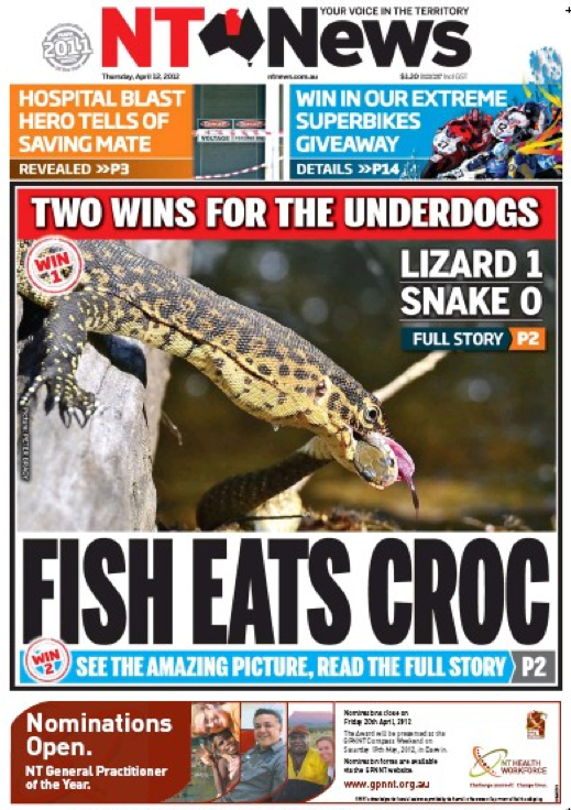 NT-News-fsih-eats-croc.jpg