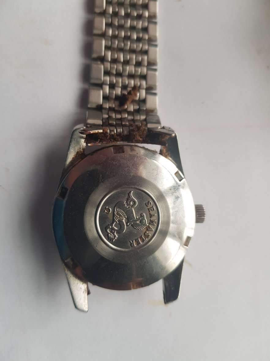 20210409_174152.jpg 20210409_174152.jpg