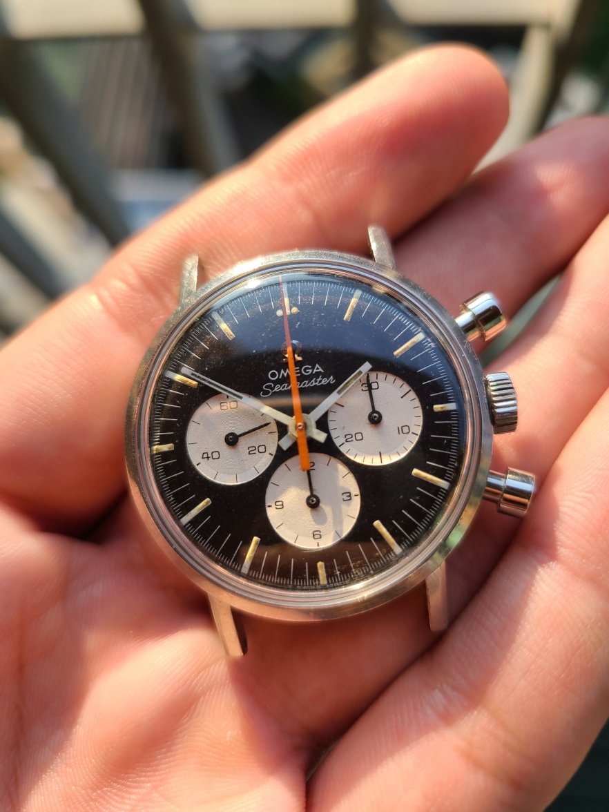 FS - Reverse Panda 145.005 Seamaster 