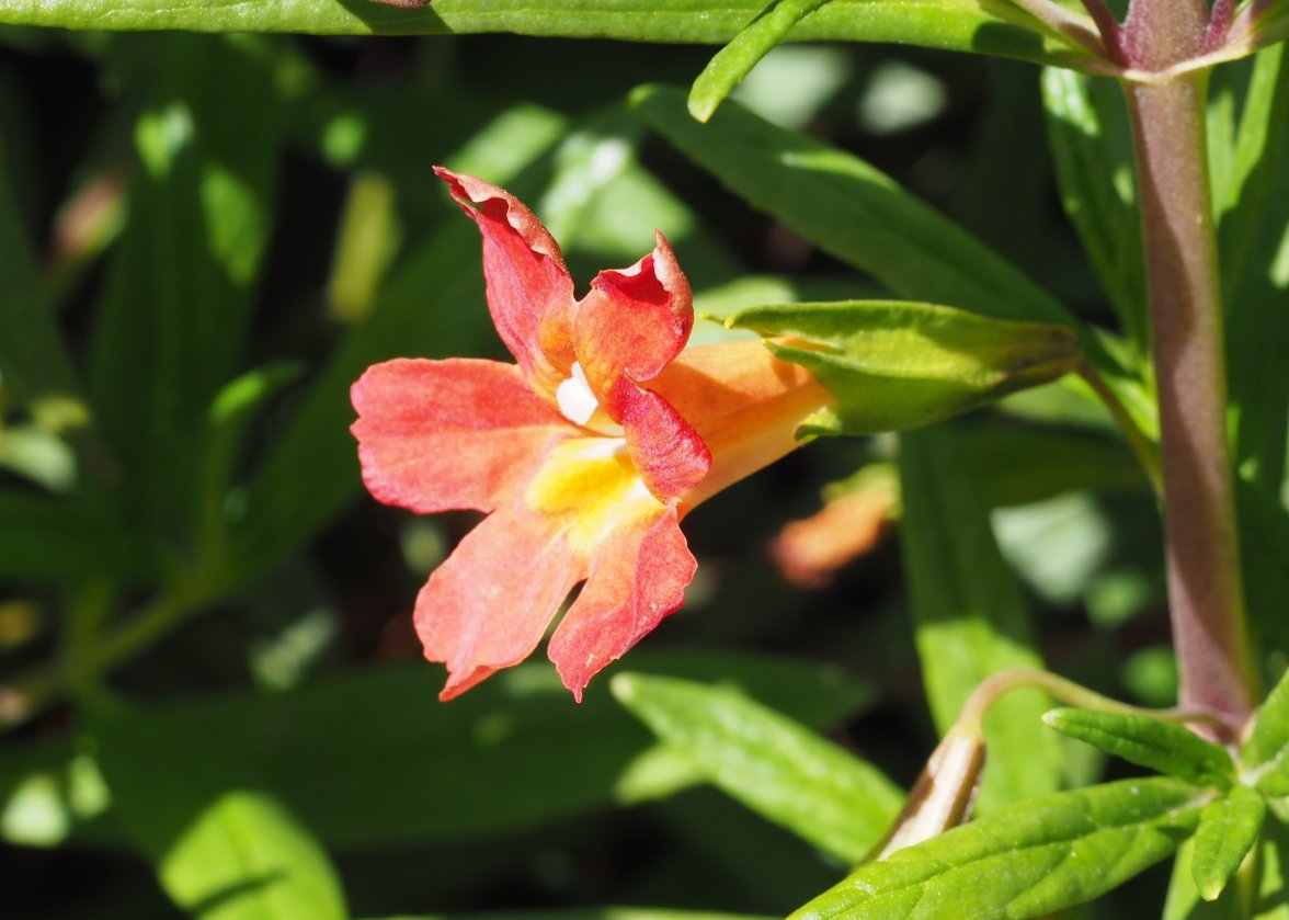 P3130482.JPG P3130482.JPG