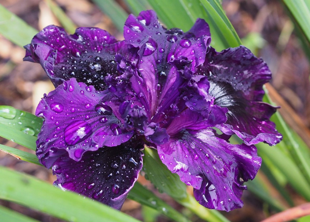 P3200579.JPG P3200579.JPG