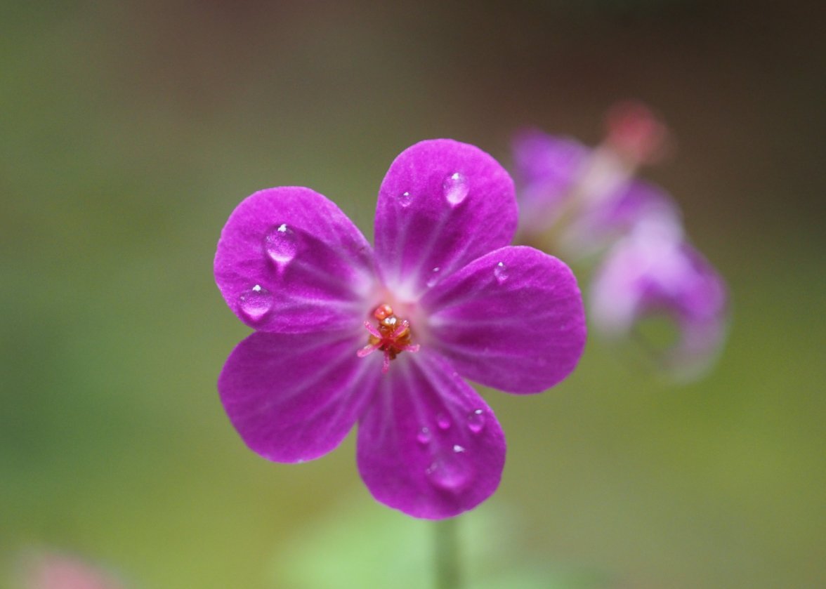 P4040831.JPG P4040831.JPG