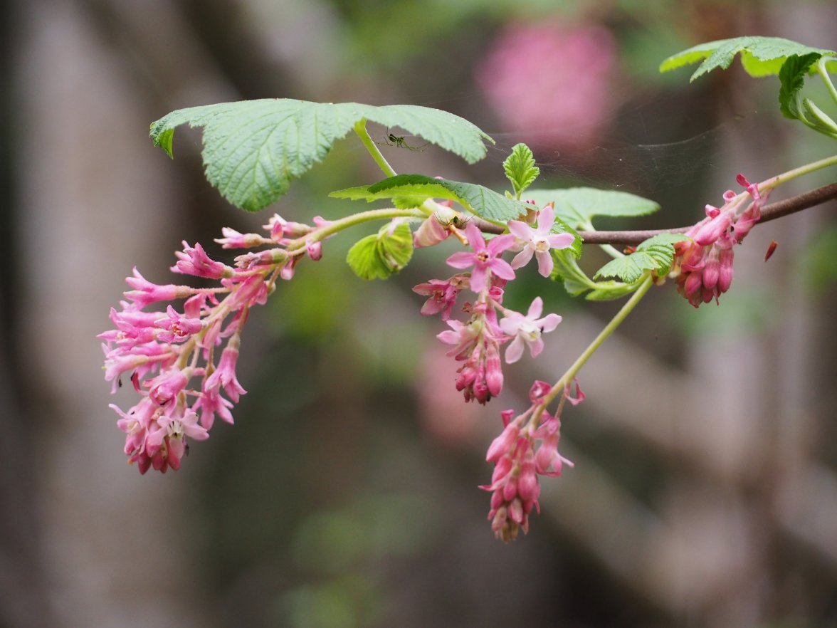 P4040841.JPG P4040841.JPG