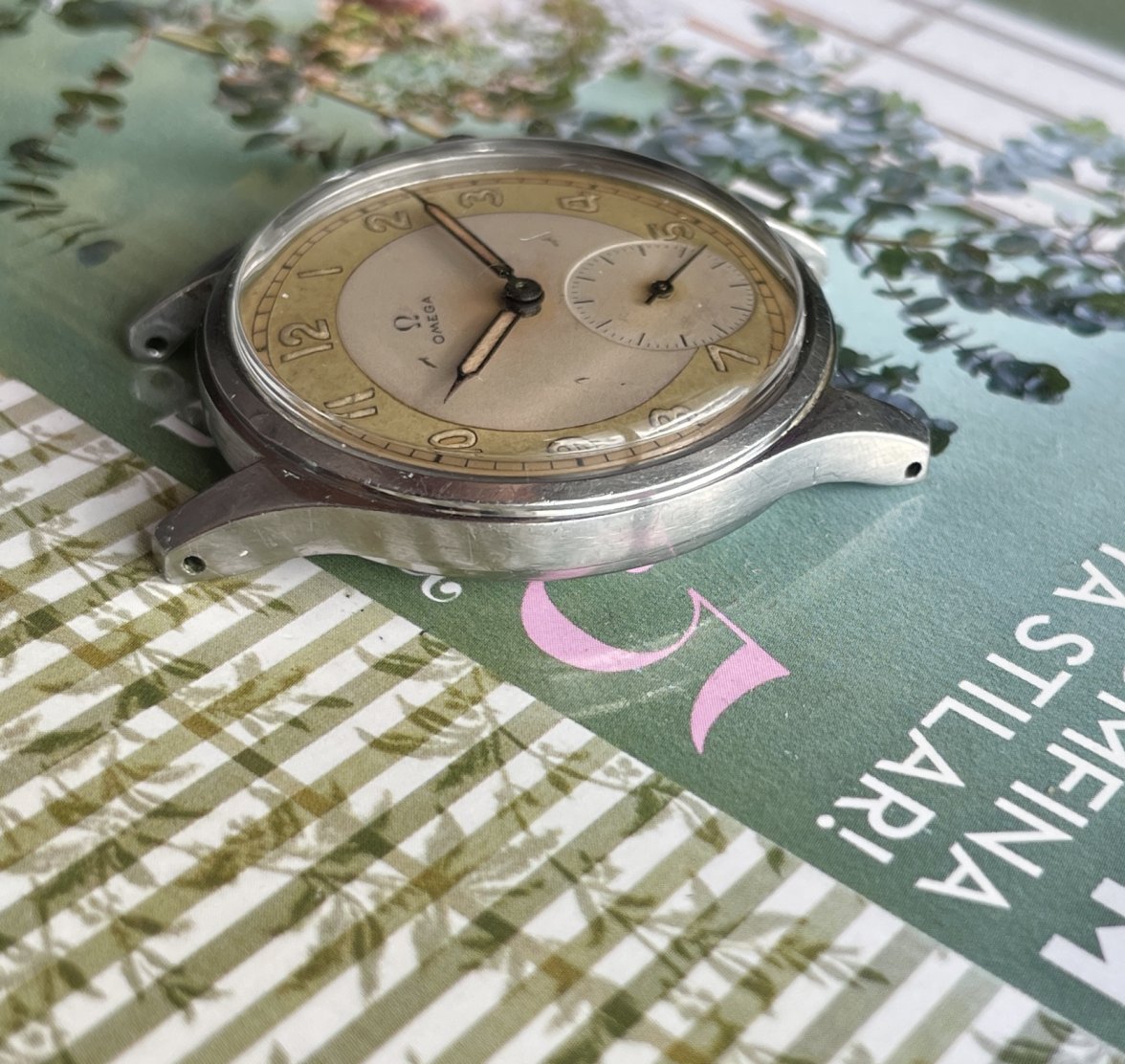 IMG_0237.jpg IMG_0237.jpg