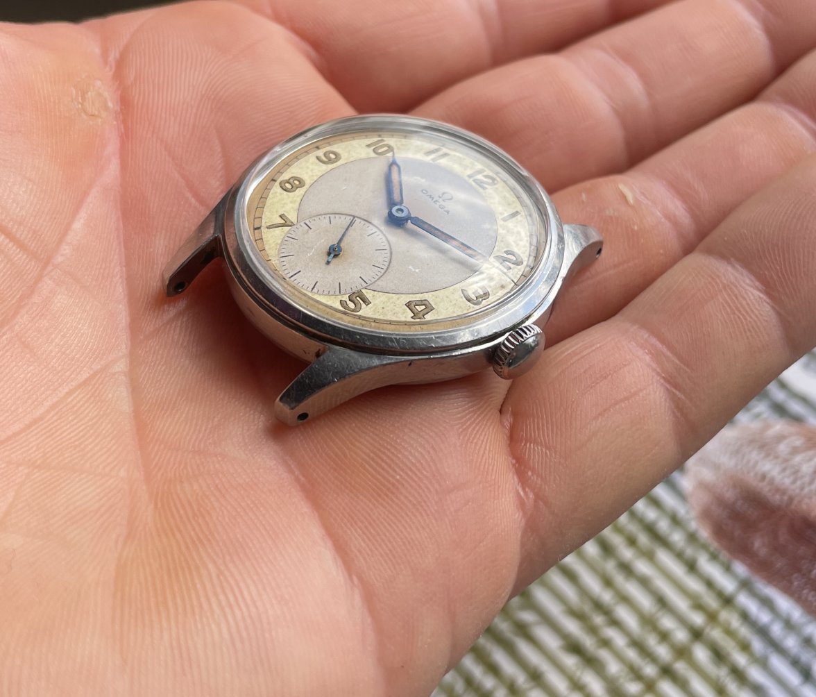 IMG_0239.jpg IMG_0239.jpg