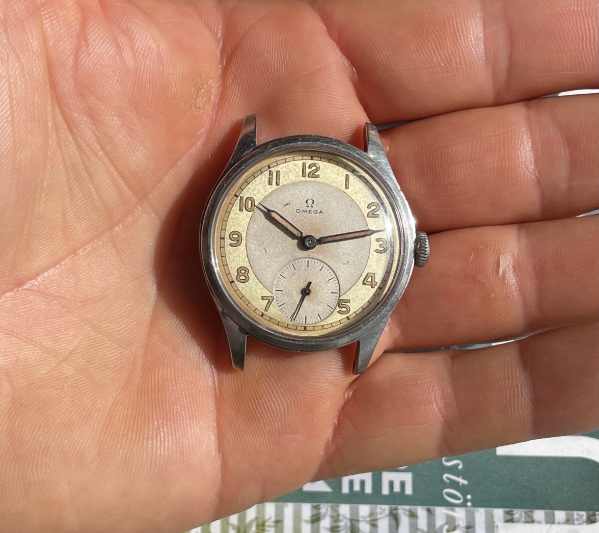 IMG_0241.jpg IMG_0241.jpg