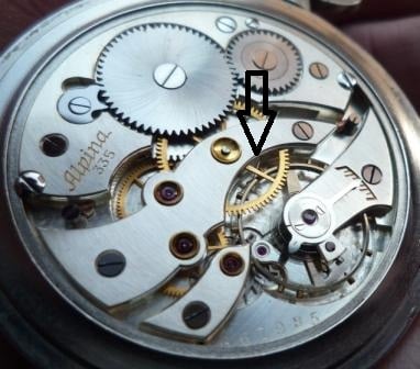 P1260986 - Kopia.JPG