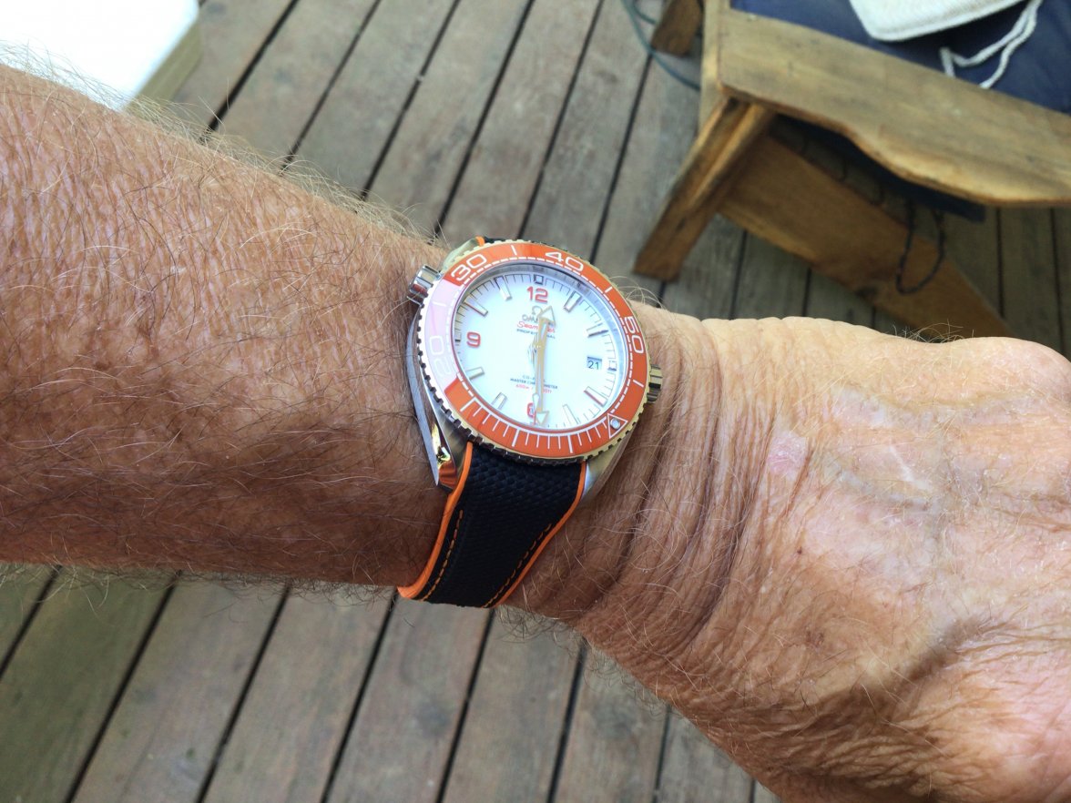A7D184E5-250C-4420-8940-FBB3579D35EB.jpeg A7D184E5-250C-4420-8940-FBB3579D35EB.jpeg