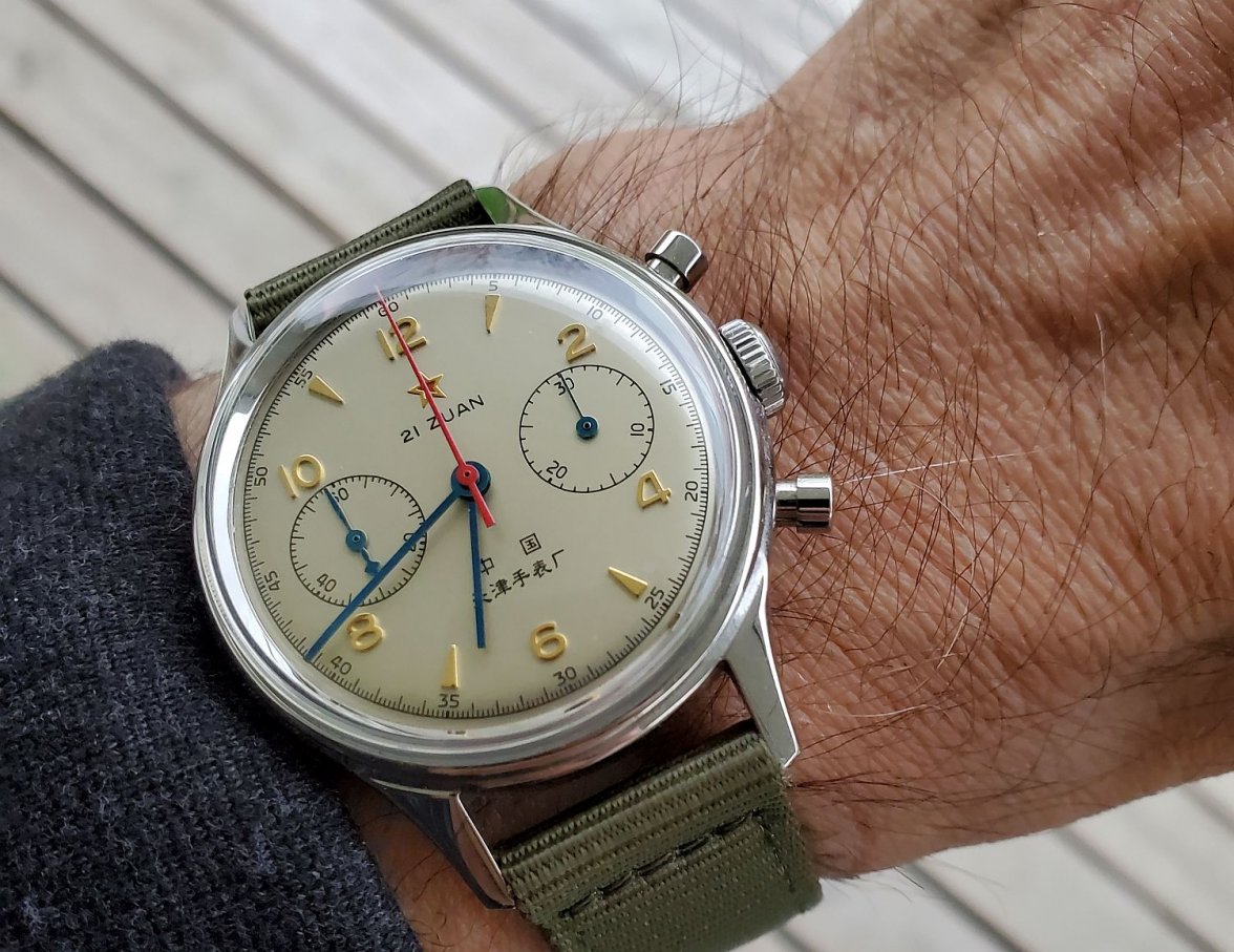 Seagull ws 1 20210424_064100.jpg