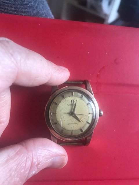 8522F55F-69C5-4728-AAAE-C4E10D2D532B.jpeg 8522F55F-69C5-4728-AAAE-C4E10D2D532B.jpeg