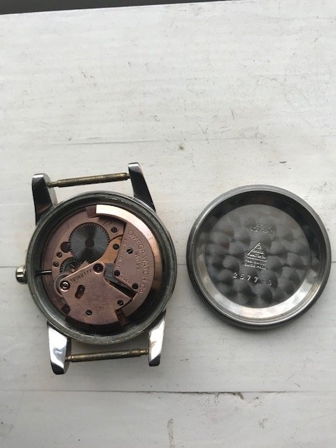 67BE5A51-F2A3-4403-A2DA-9639EDE2A884.jpeg 67BE5A51-F2A3-4403-A2DA-9639EDE2A884.jpeg