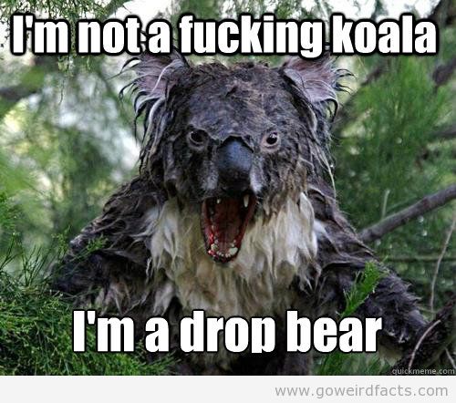 Drop bear.jpg