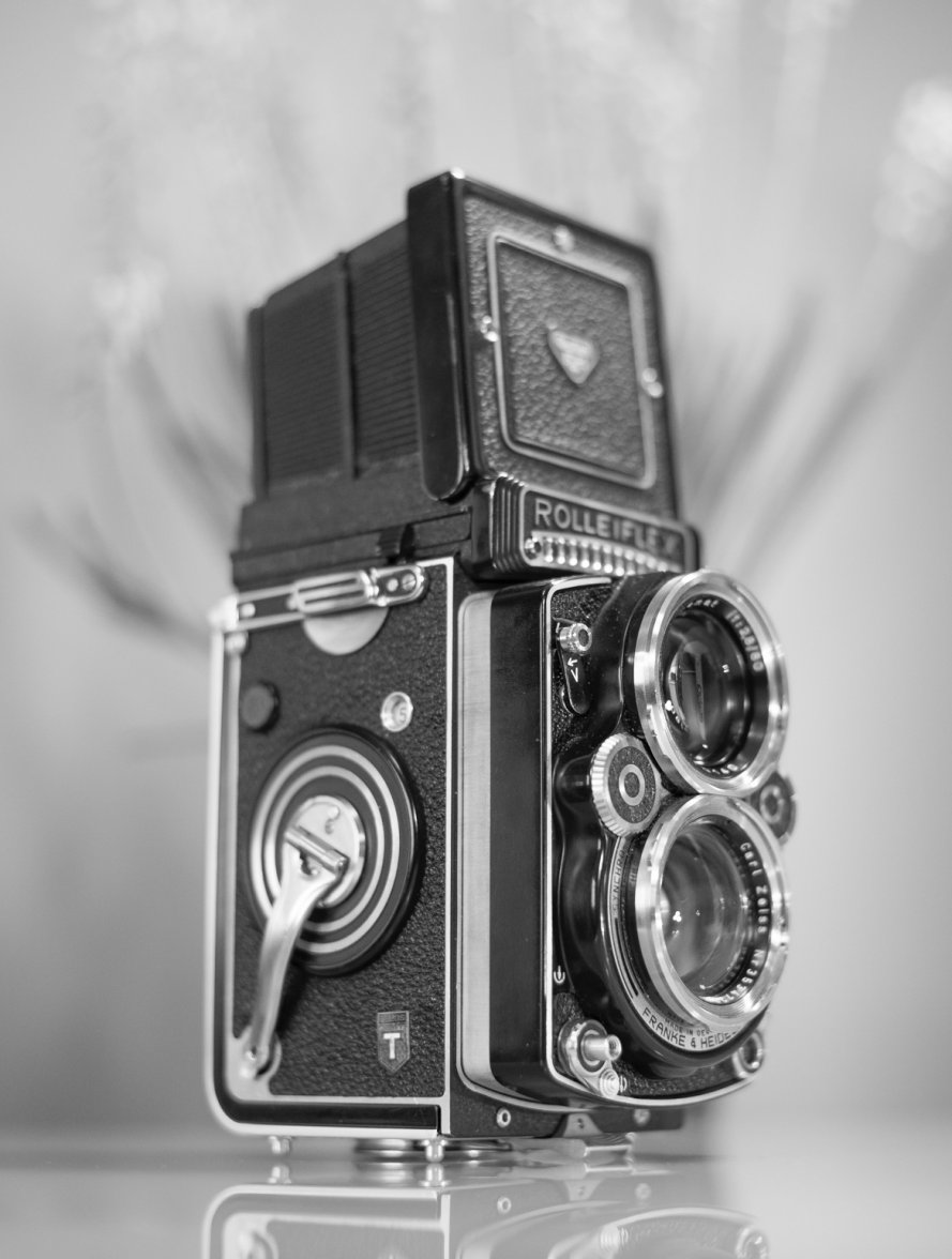 BF615F5E-9B9A-40AA-880E-9650129F61CF.jpeg BF615F5E-9B9A-40AA-880E-9650129F61CF.jpeg