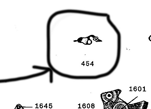 pino 1.jpg pino 1.jpg