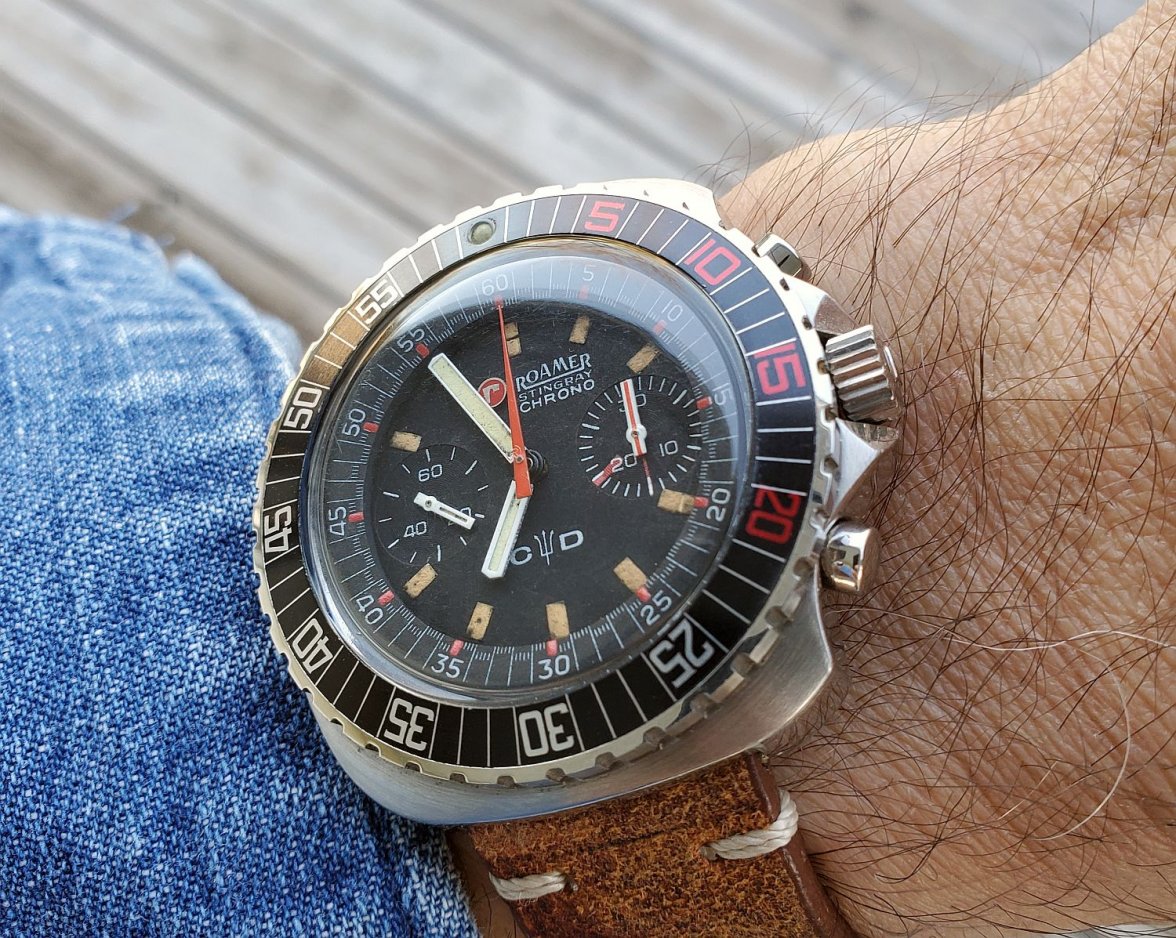 Roamer ws 1 20210430_065520.jpg