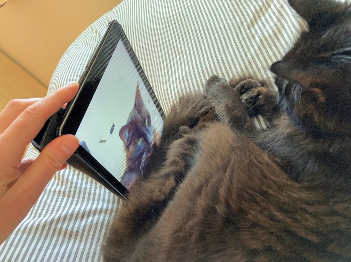 IMG_2632a - Copy.JPG