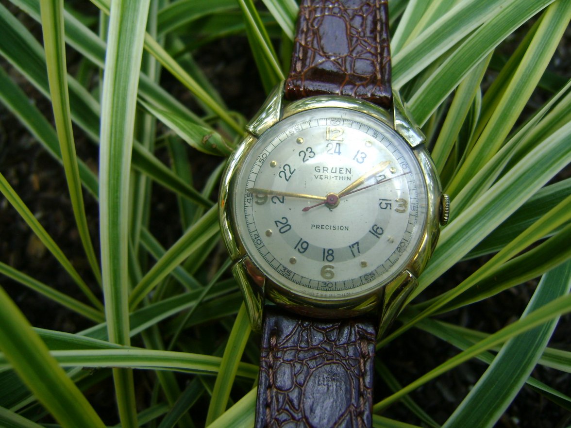 Alligator in the weeds.JPG