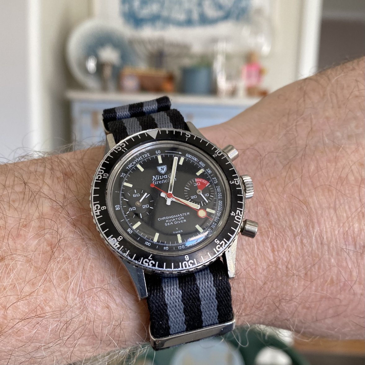 IMG_3827.jpeg IMG_3827.jpeg