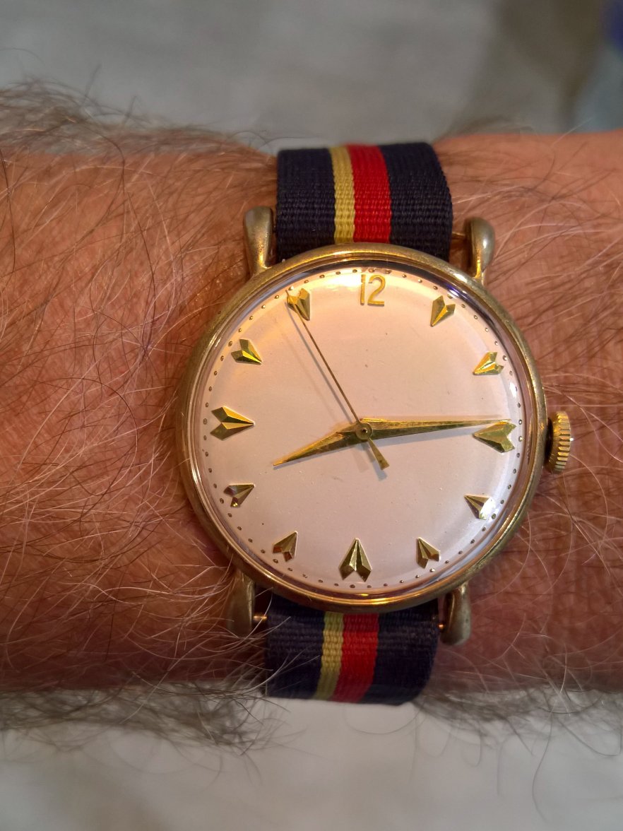 WP_20210504_20_13_48_Rich.jpg WP_20210504_20_13_48_Rich.jpg