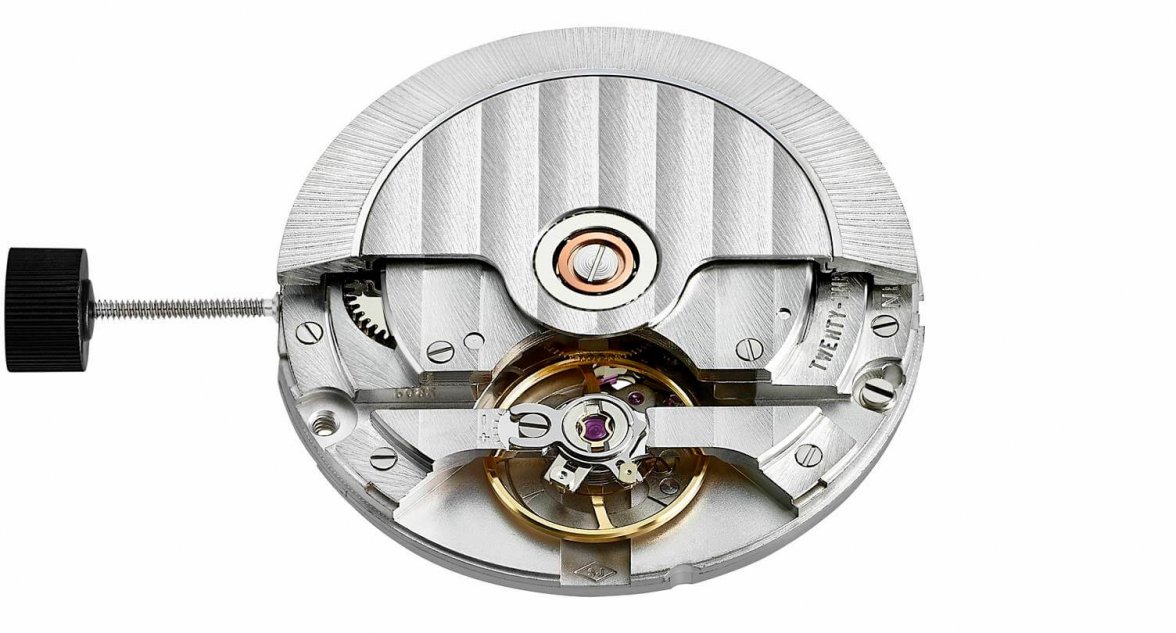 sop-newt.jpg sop-newt.jpg