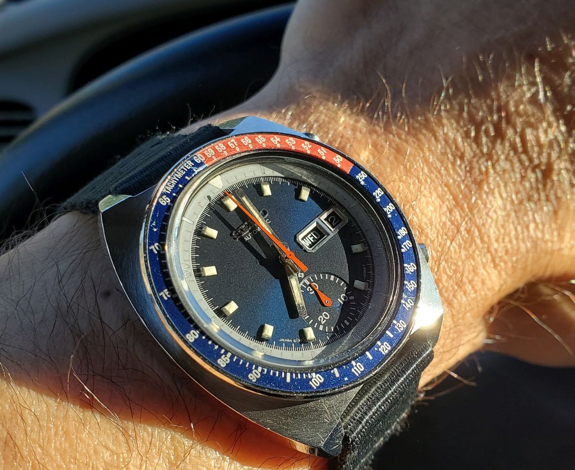 Pogue ws 1b 20210512_070132.jpg