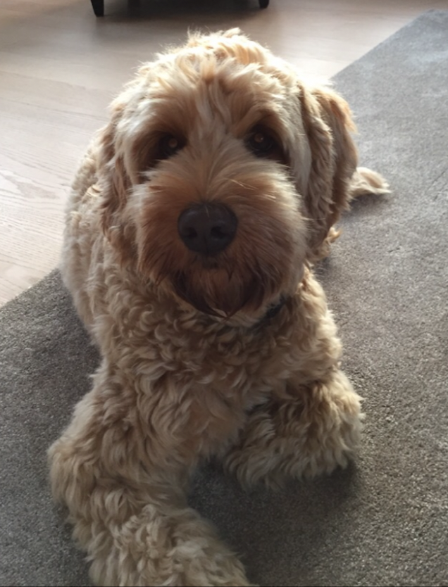 Skærmbillede 2021-05-15 kl. 20.59.48.png