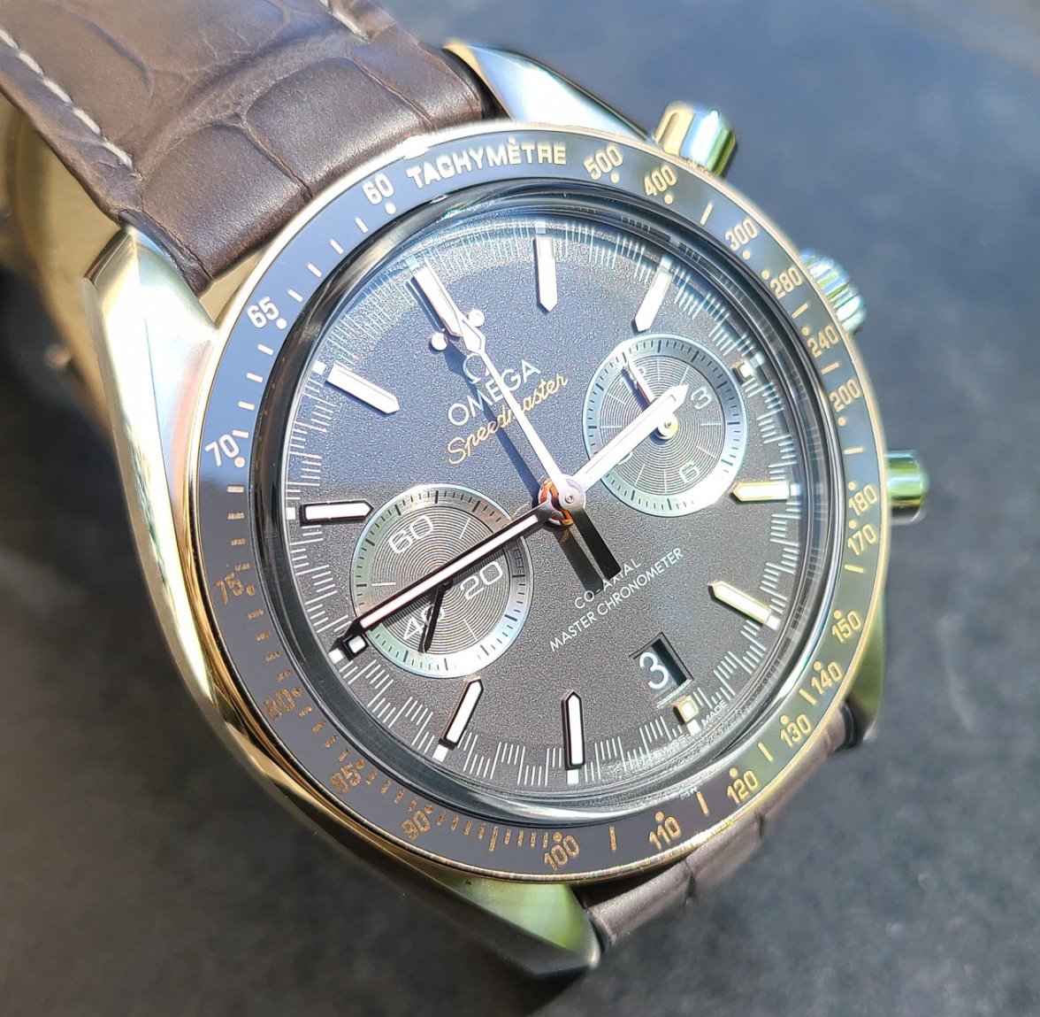 2018 Speedy - Racing 2.jpg