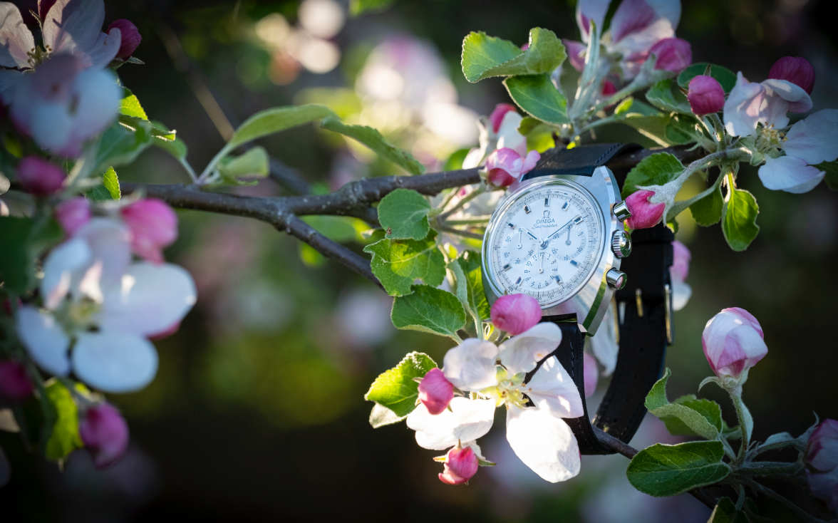 Screenshot 2021-05-23 at 23.11.11.png