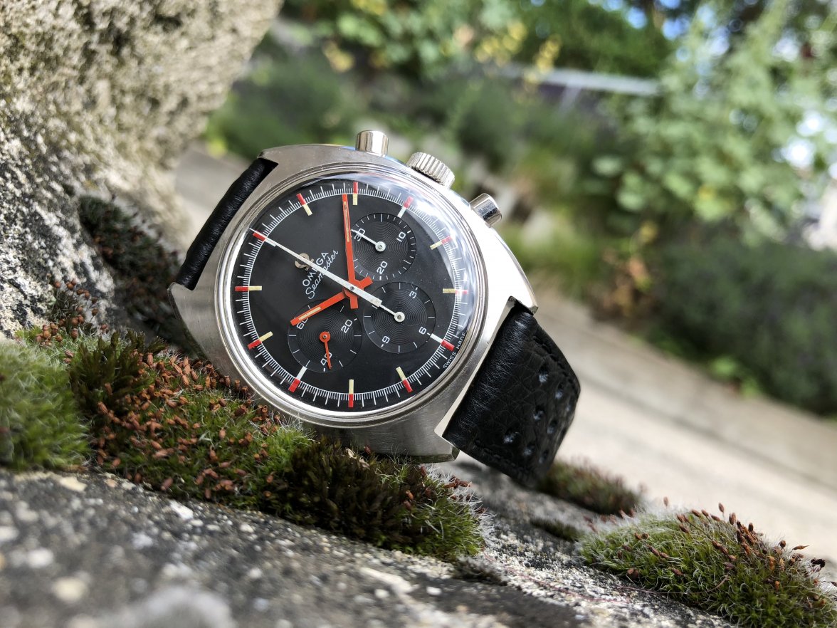 Photo 06.06.18 09 46 10.jpg