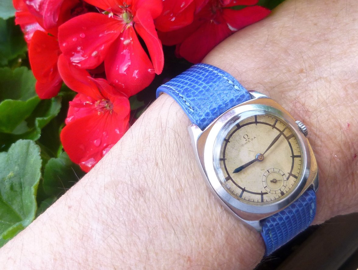 omega sector dial (12).JPG