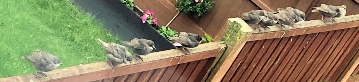 Breakfastclub - Copy.jpg