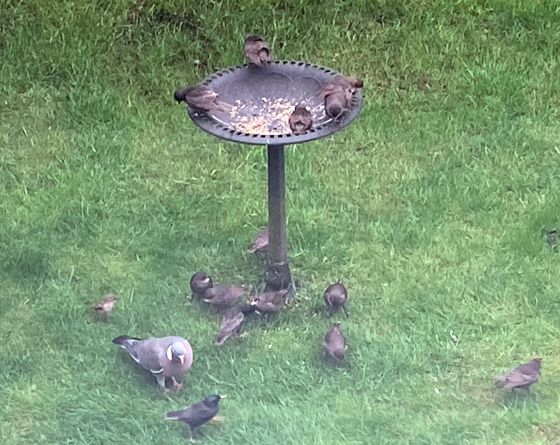 Breakfast club2 - Copy.jpg