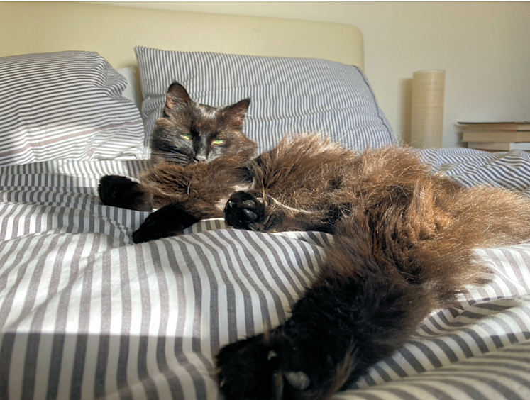 Breakfast club3 - Copy.jpg